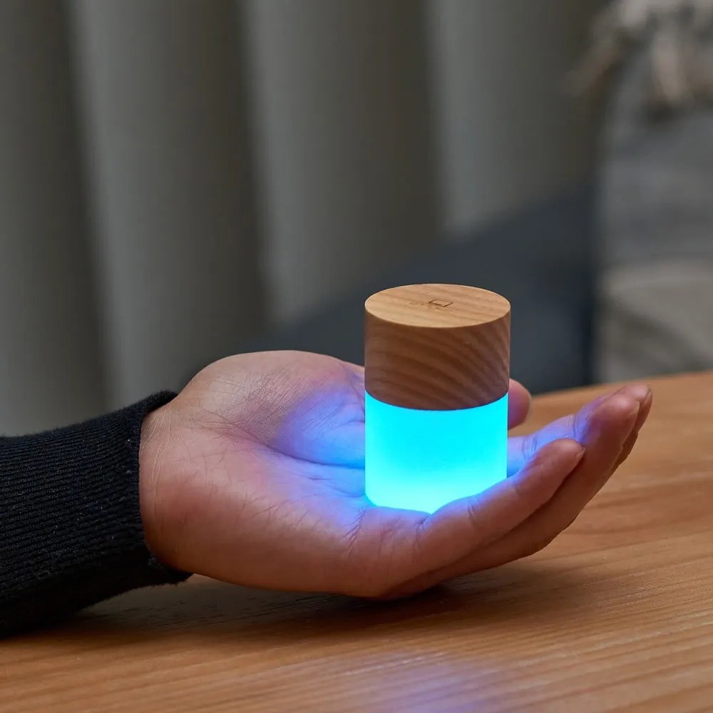 Dekoracja świetlna na USB w naturalnym kolorze ø 4,5 cm Lemelia – Gingko