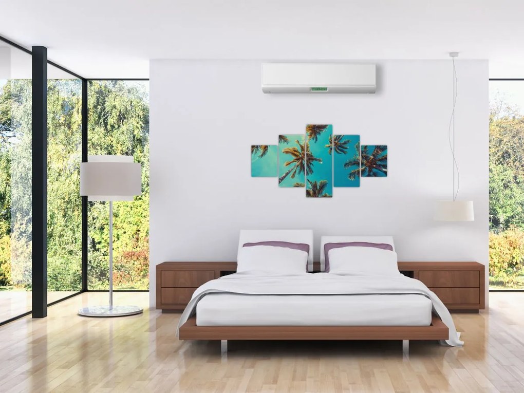 Obraz - Wysokie palmy (125x70 cm)