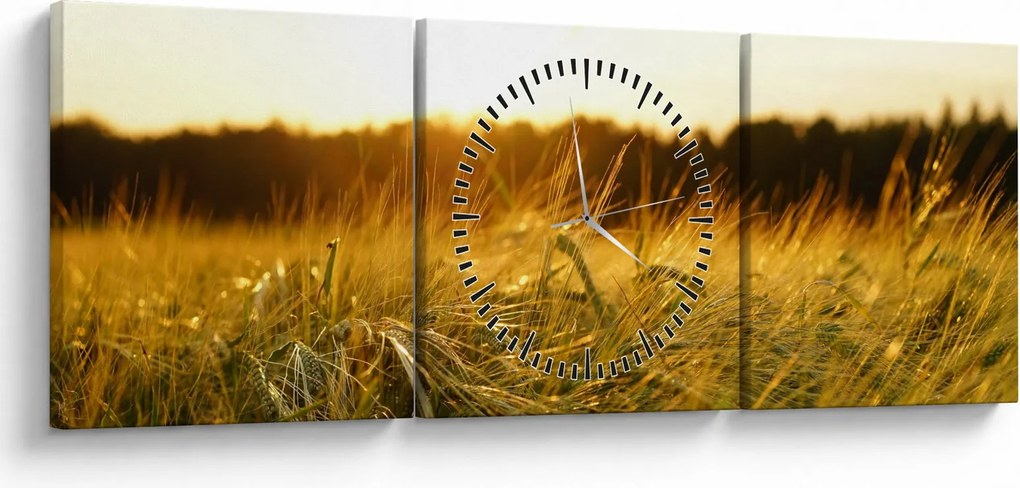Obraz zroszonej trawy (z zegarem) (90x30 cm)
