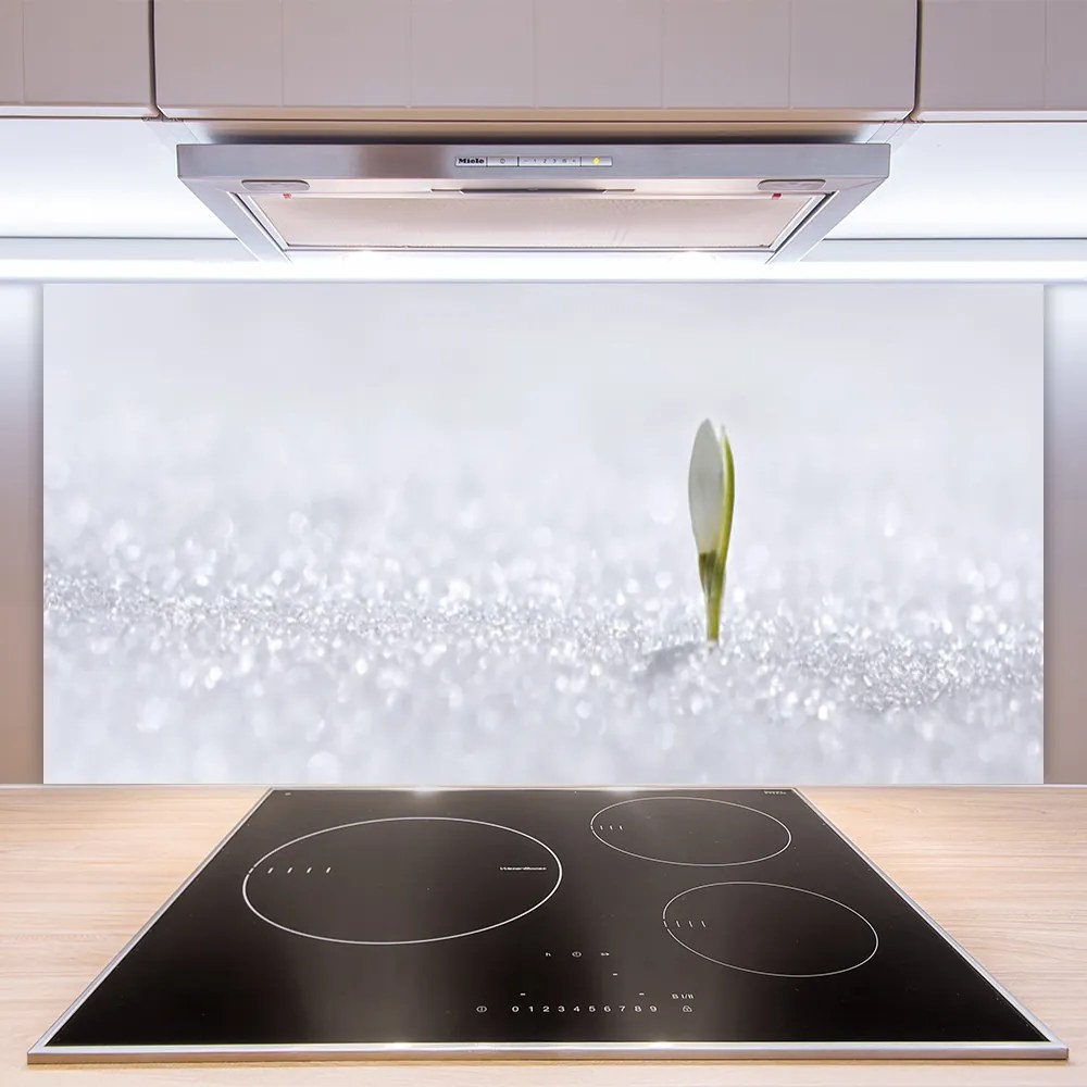 Panel Szklany Pierwsze Tchnienie Wiosny: Przebiśnieg