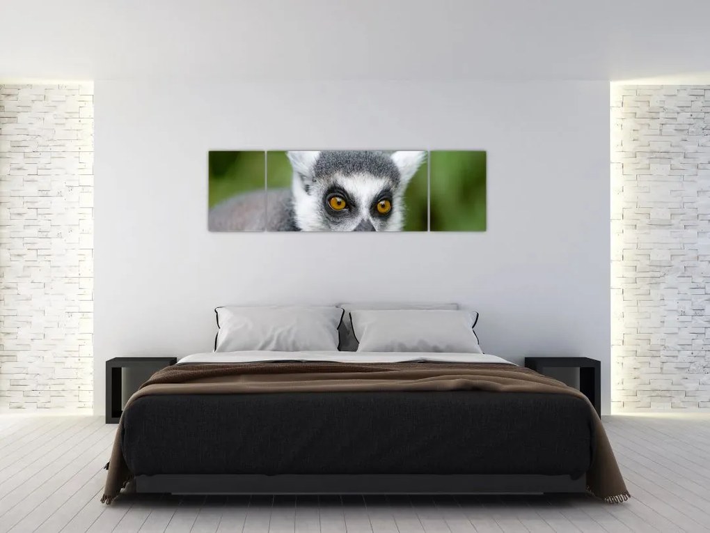 Obraz lemura (170x50 cm)