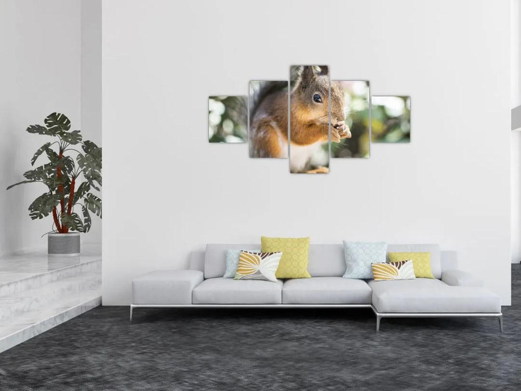 Obraz wiewiórki (125x70 cm)