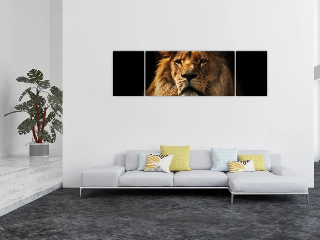 Obraz - Lew z bogatą grzywą (170x50 cm)