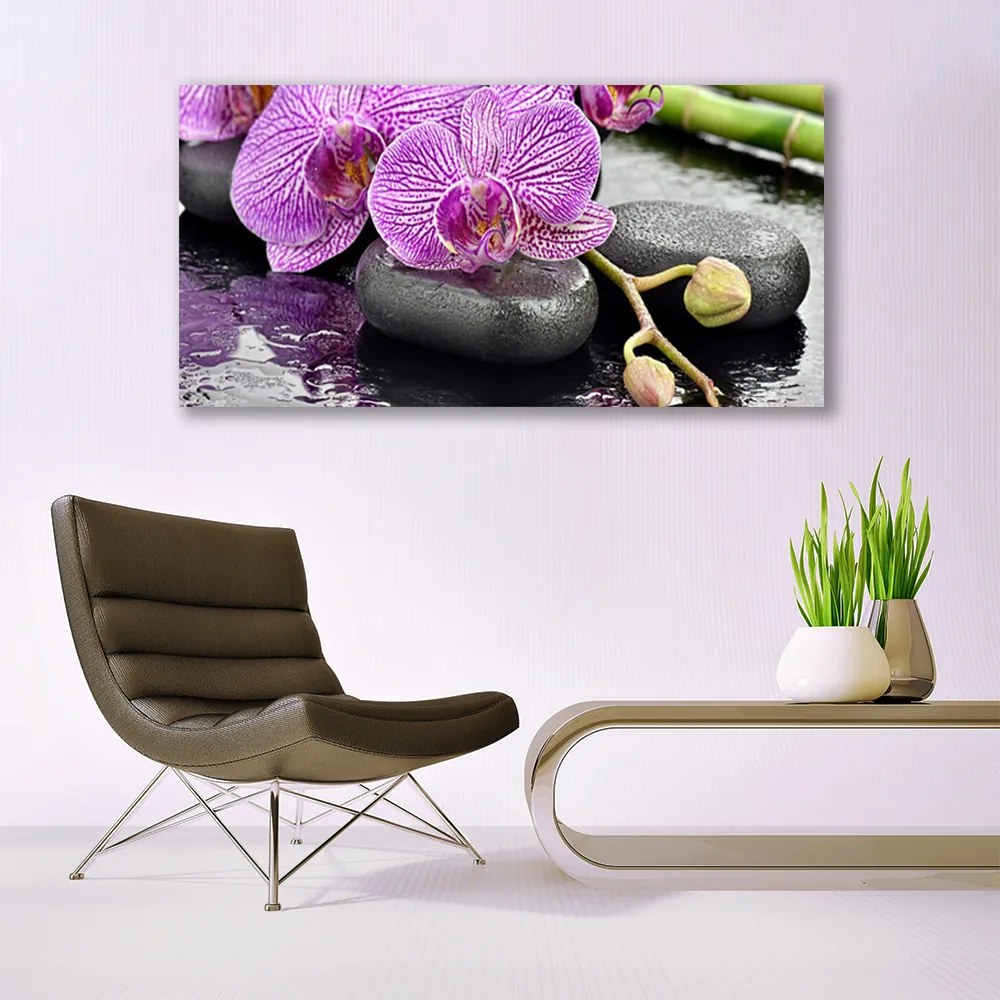 Obraz Canvas Storczyk Zen Orchidea Spa