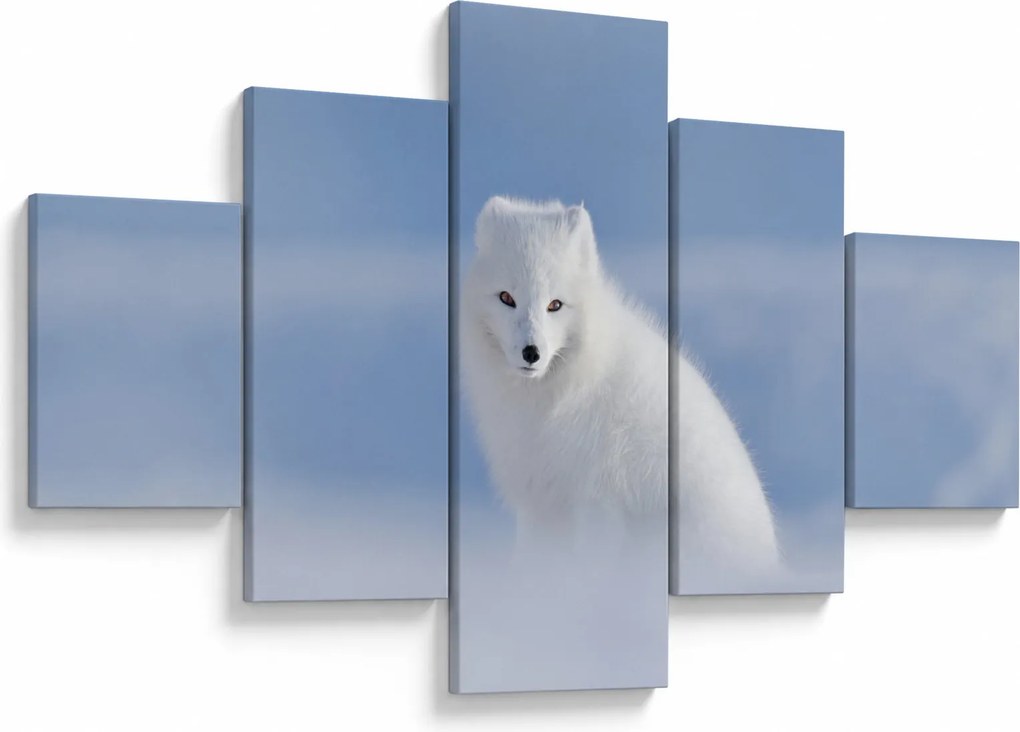 Obraz - Lis polarny (125x70 cm)
