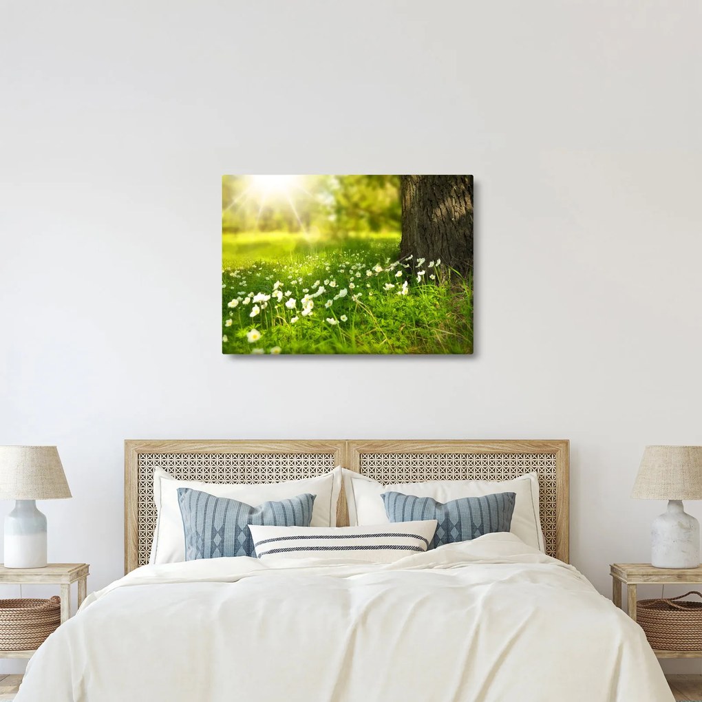 Obraz polany i kwiatów (70x50 cm)