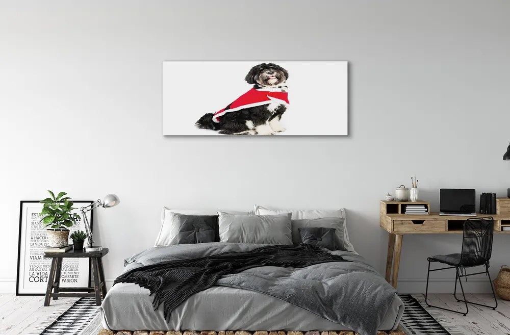 Obraz na płótnie Wierny Pies