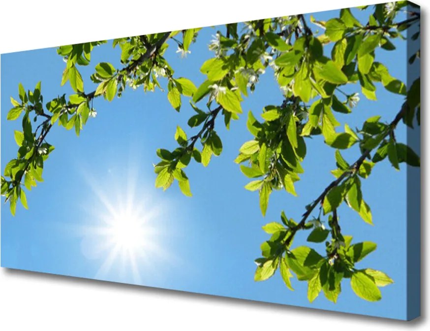 Fotoobraz na płótnie Złocisty Blask Słońca