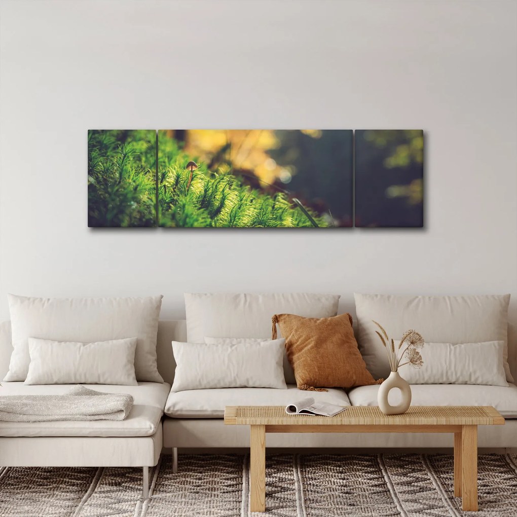 Obraz mchu z grzybem (170x50 cm)