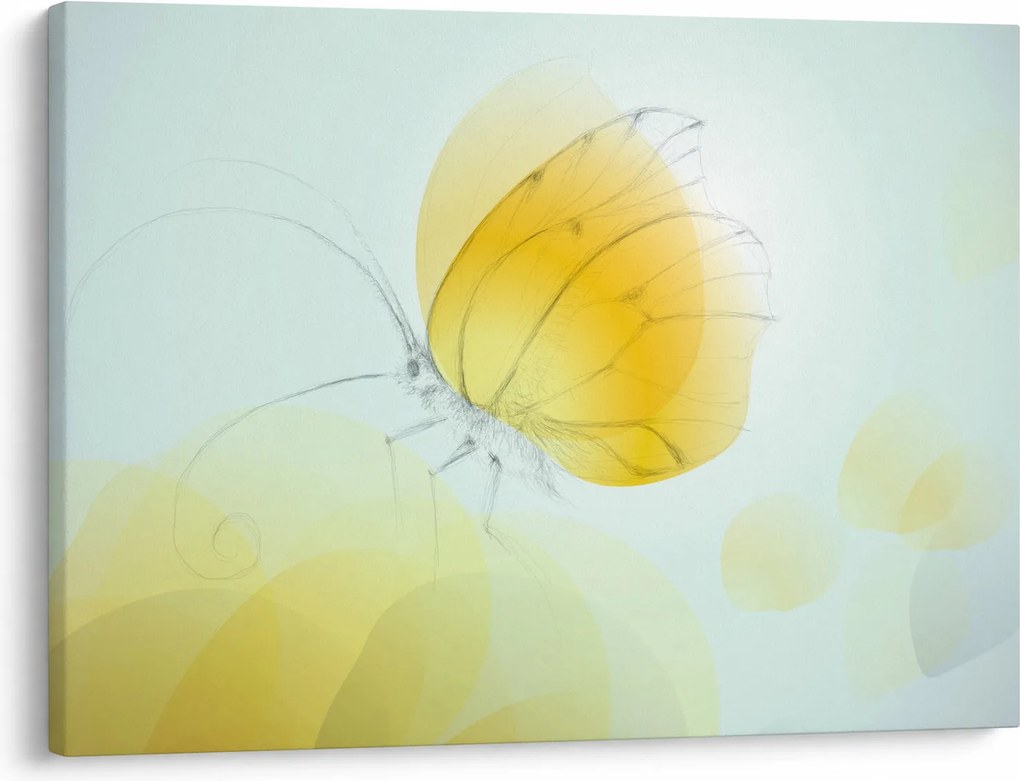 Obraz - Żółty motyl (70x50 cm)