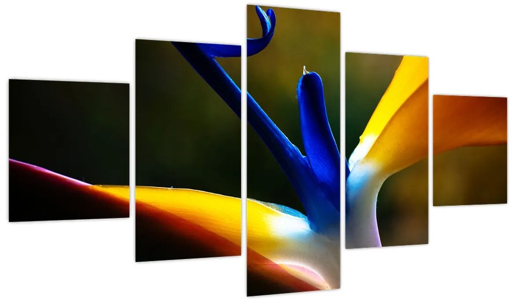 Obraz - Egzotyczny kwiat (125x70 cm)