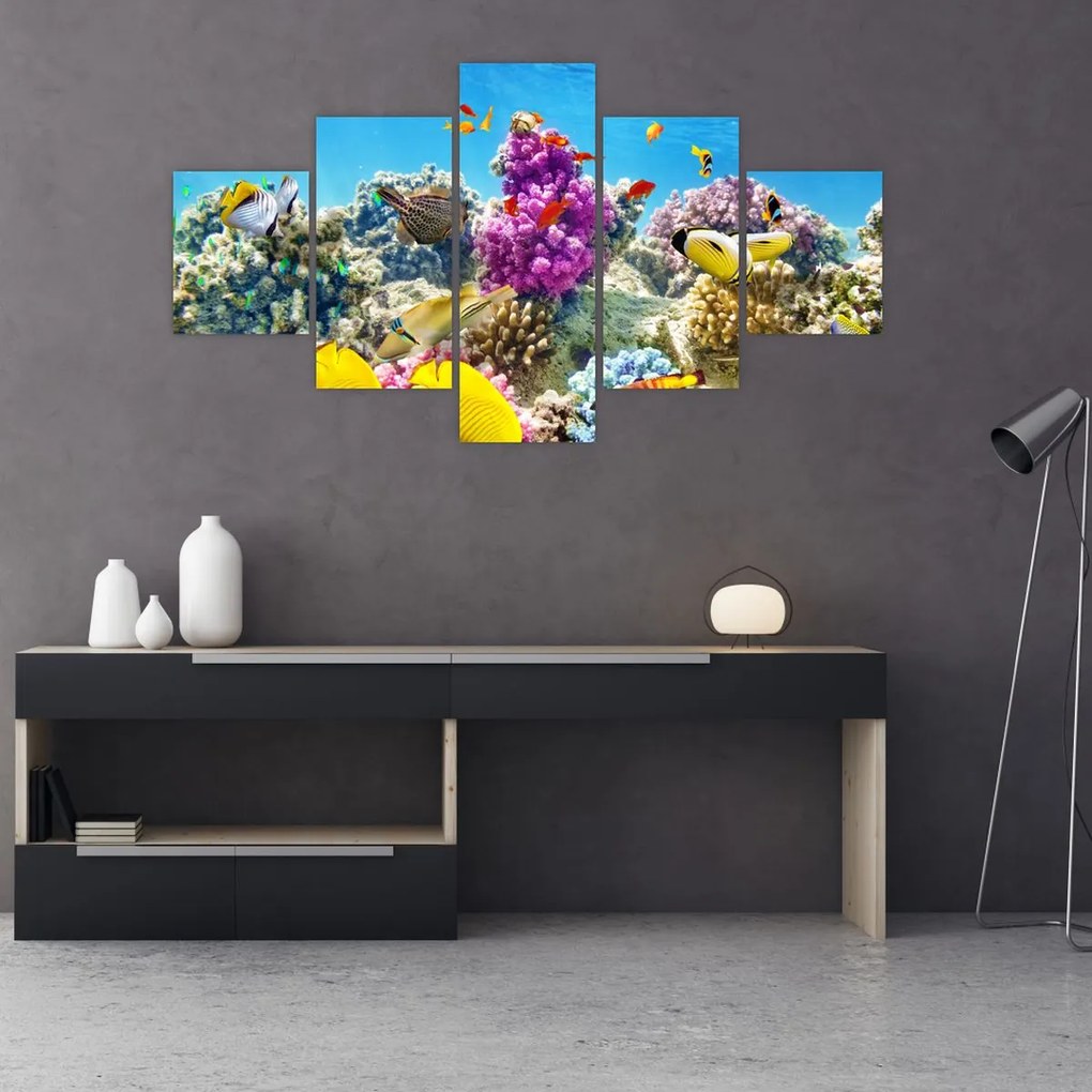 Obraz - Morski świat (125x70 cm)