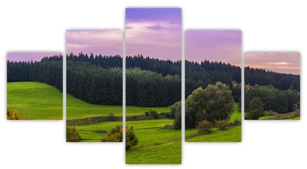 Obraz łąki (125x70 cm)