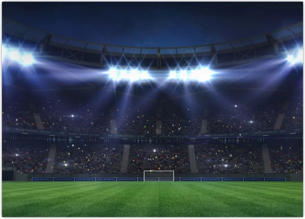 Obraz - Stadion piłkarski (70x50 cm)