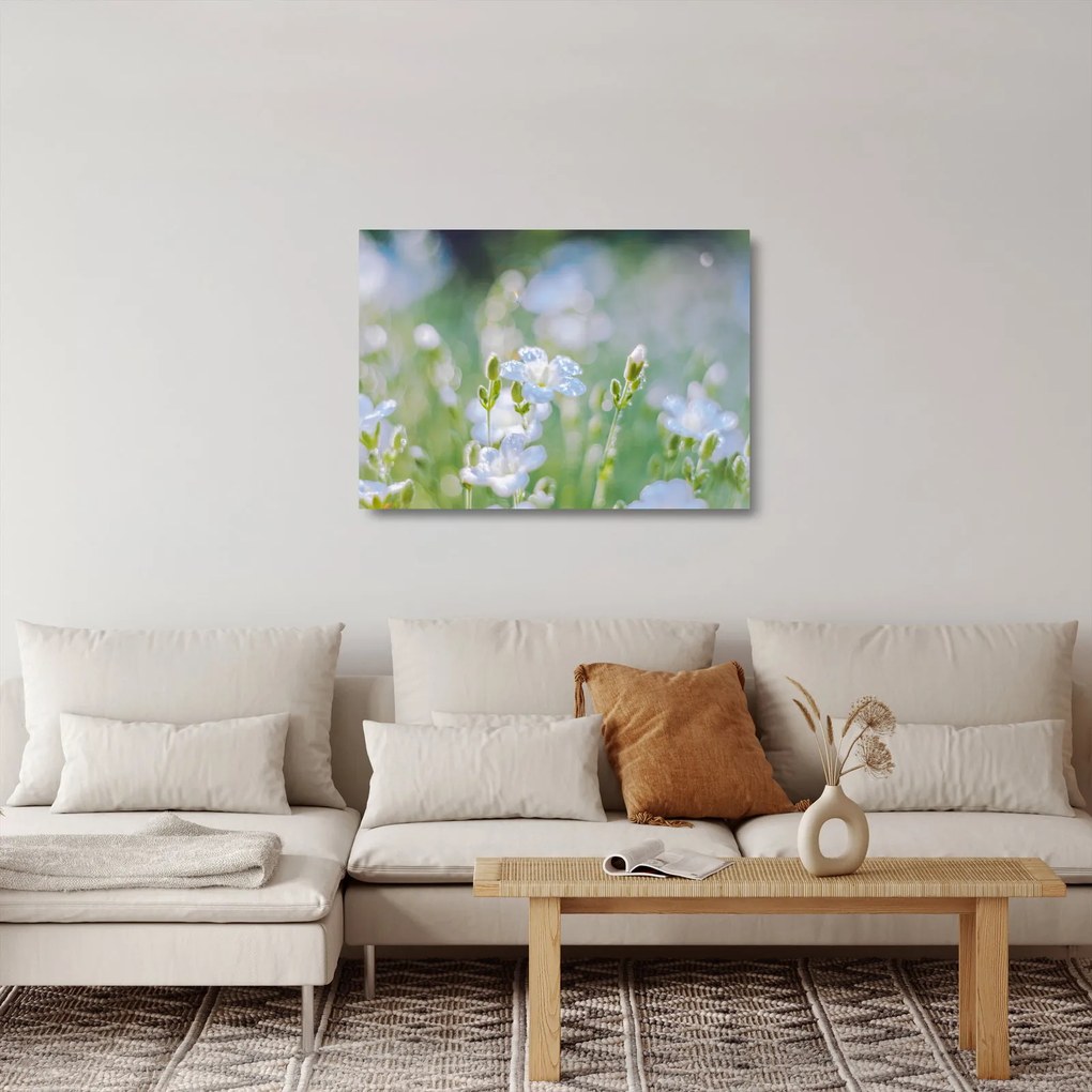 Obraz na szkle - Delikatne kwiaty (70x50 cm)