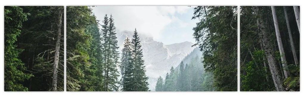 Obraz leśnego jeziora (170x50 cm)