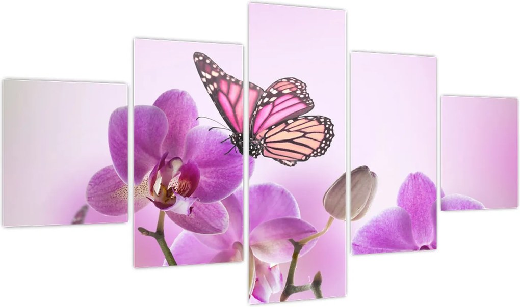 Obraz - Motyl na kwiatach orchidei, liliowy (125x70 cm)