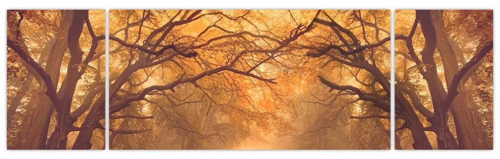 Obraz drogi w jesiennym krajobrazie (170x50 cm)