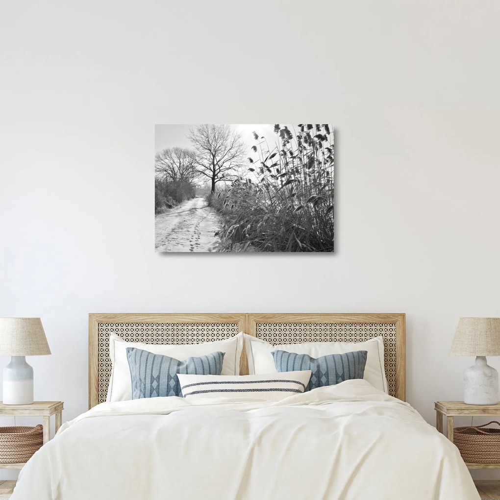 Obraz na szkle - Pola w zimie (70x50 cm)