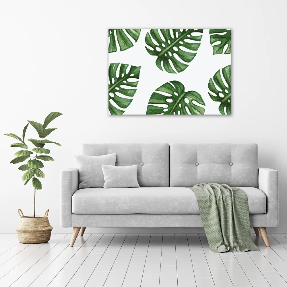 Foto obraz szkło hartowane Monstera
