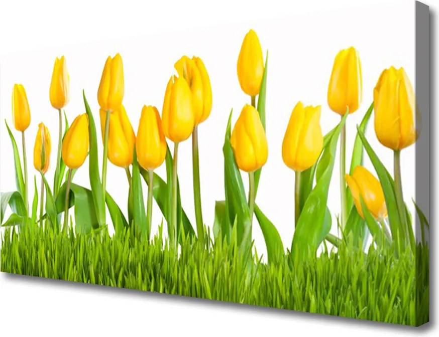 Fotoobraz na płótnie Elegancja Czerwonych Tulipanów