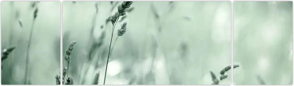 Obraz - Zielona łąka (170x50 cm)