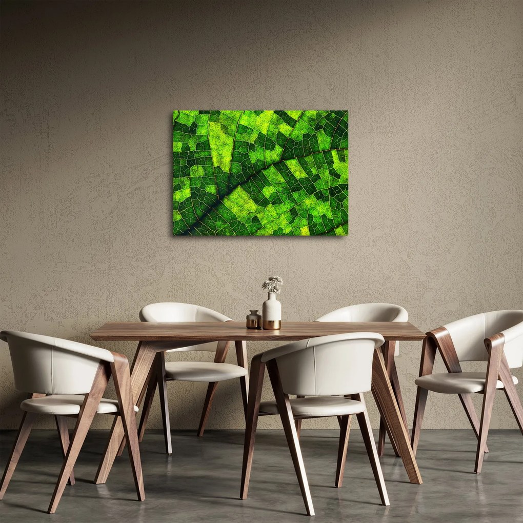 Obraz - Detal liścia (70x50 cm)