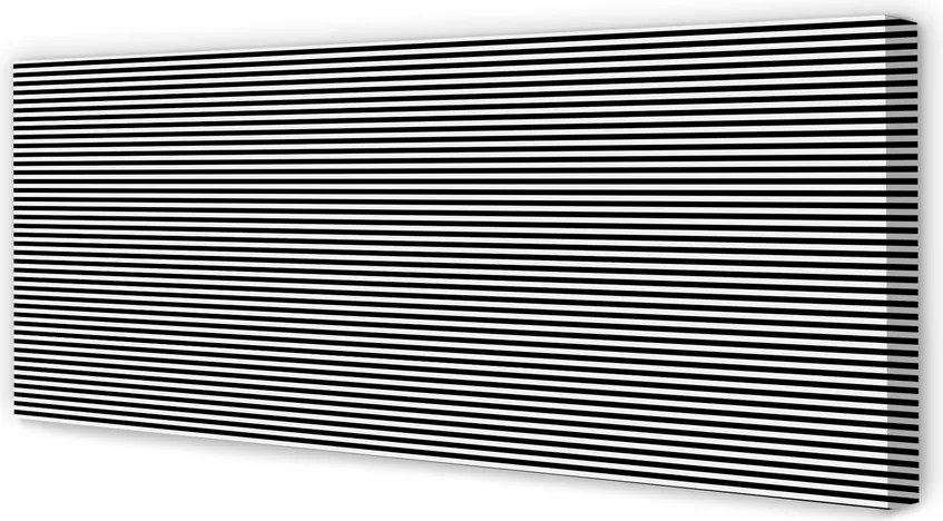 Obraz drukowany na płótnie Motyw Zwierzęcy: Zebra