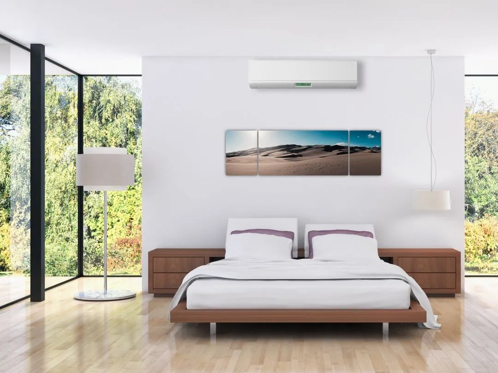 Obraz - Z pustyni (170x50 cm)