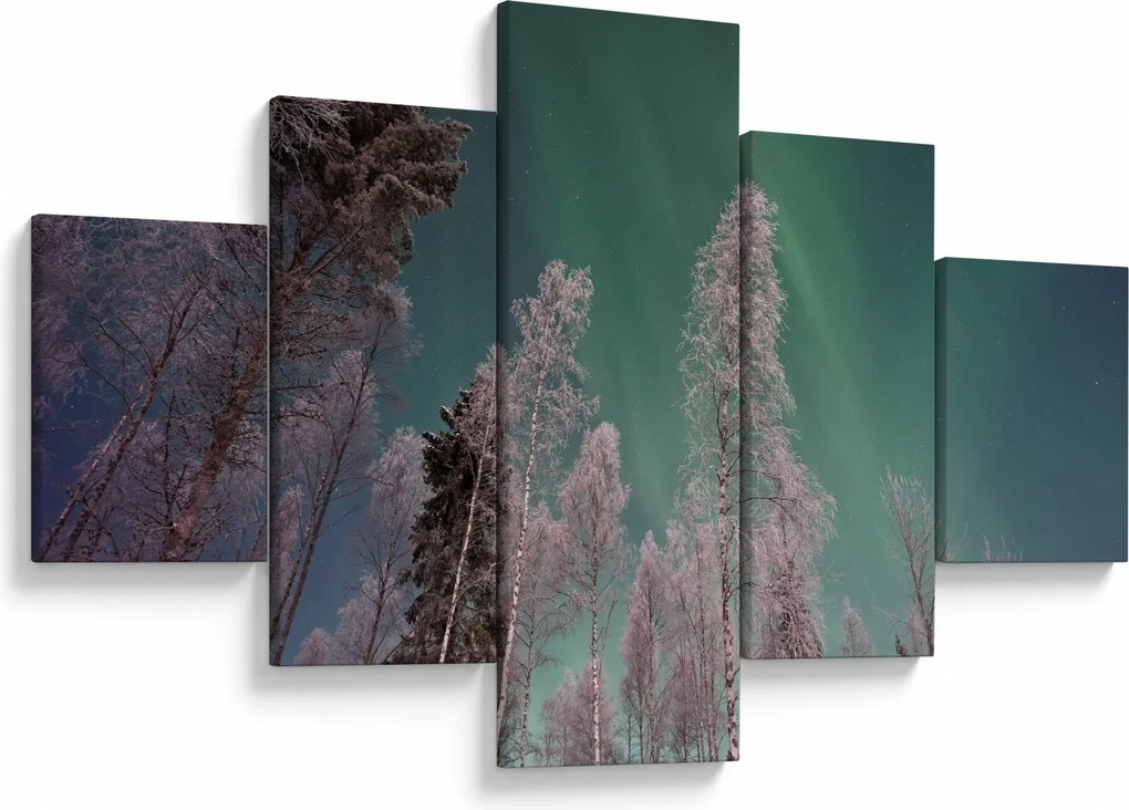 Obraz zorzy polarnej nad zamarzniętymi drzewami (125x70 cm)