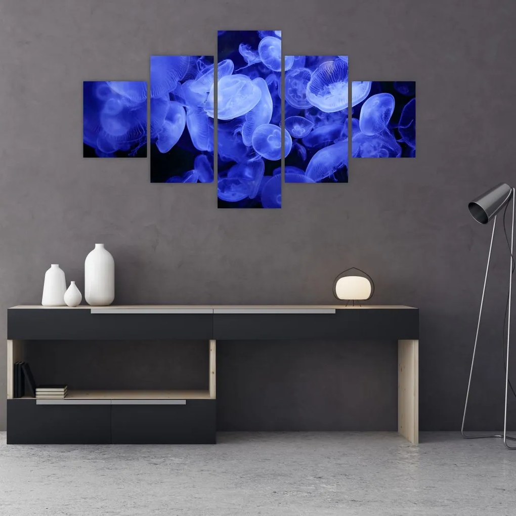 Obraz - Meduzy (125x70 cm)