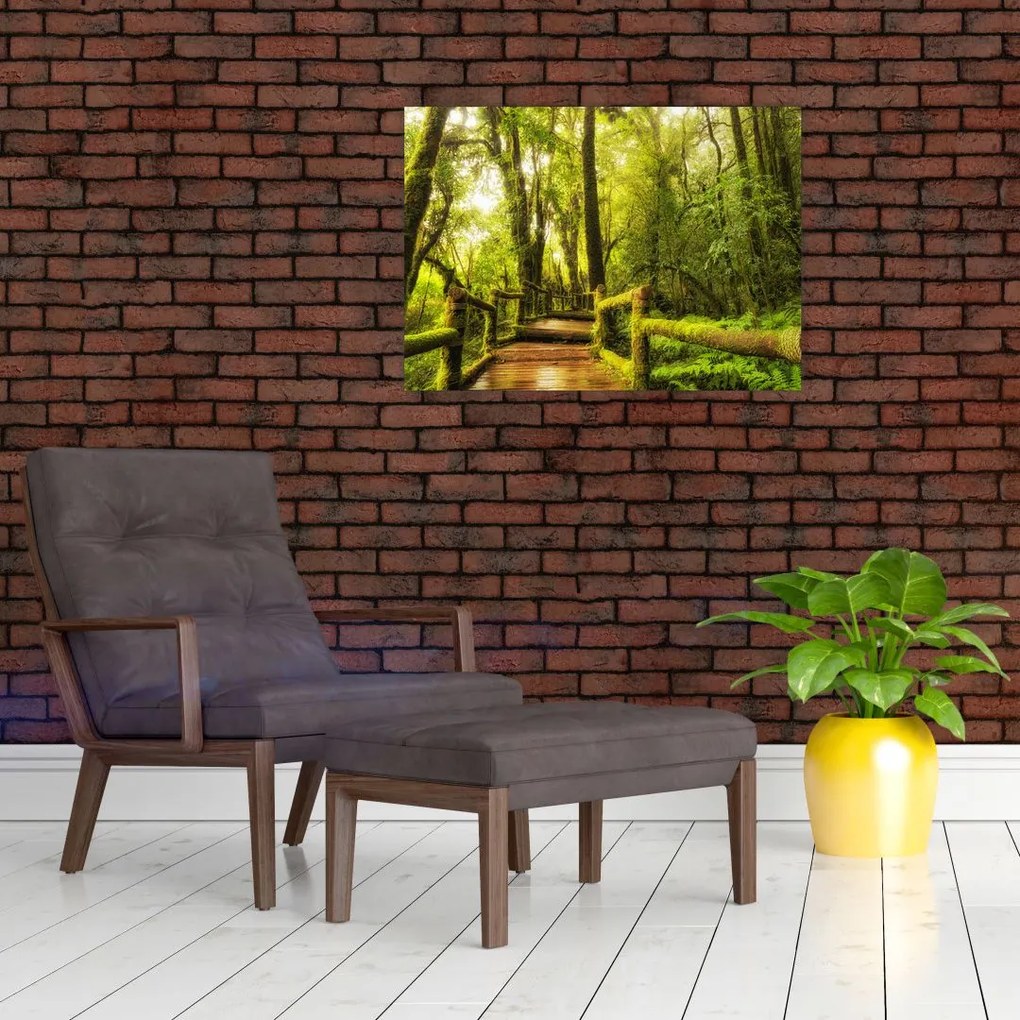 Obraz na szkle omszałej dżungli (70x50 cm)