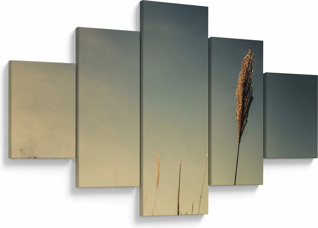 Obraz z trawą (125x70 cm)