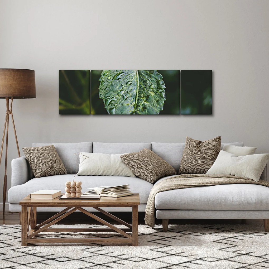 Obraz - krople na liściu (170x50 cm)