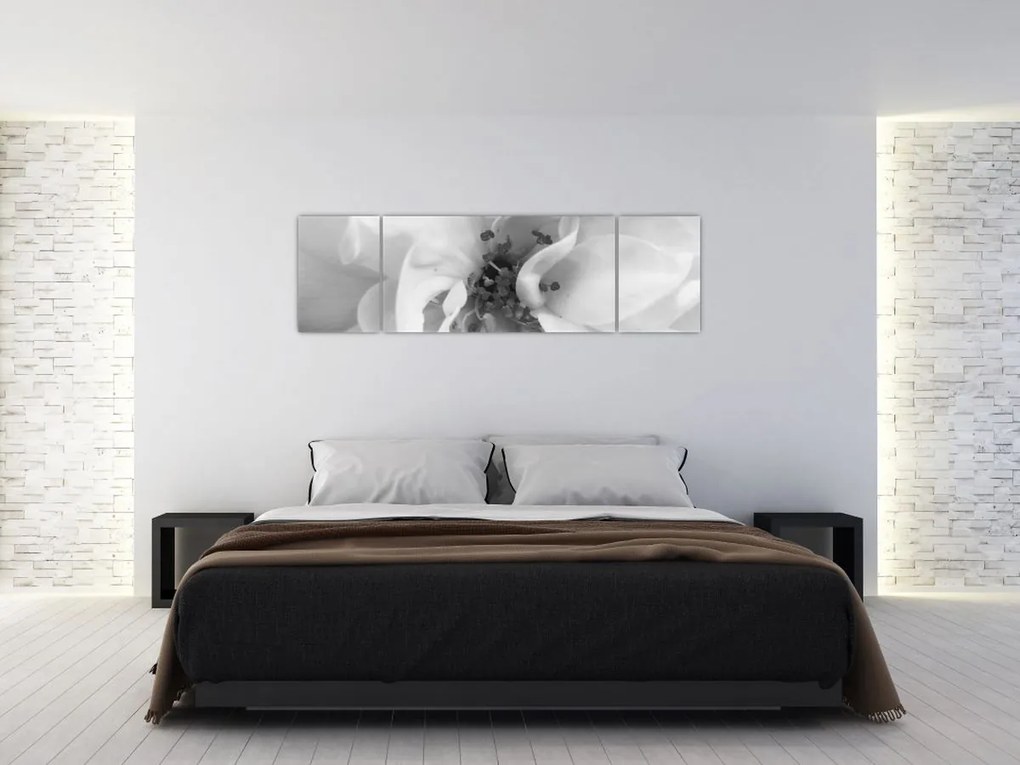 Obraz - Kwiat, czarno - biały (170x50 cm)