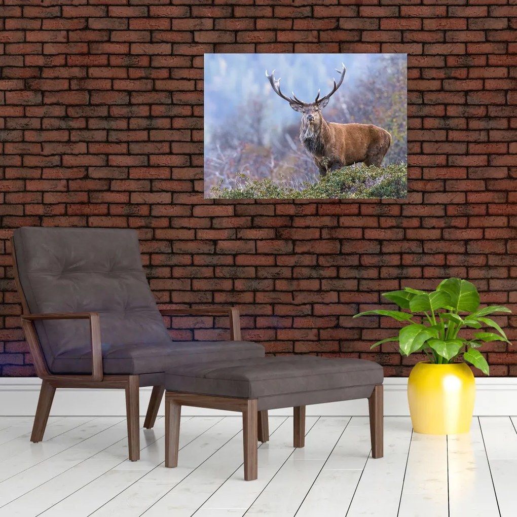 Obraz na szkle - Jeleń w krajobrazie (70x50 cm)