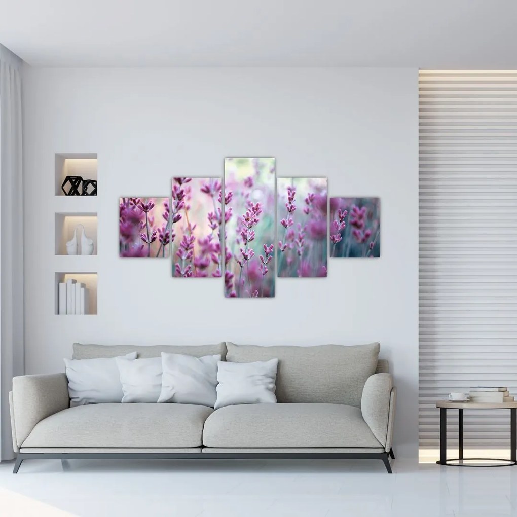 Obraz - Lawenda (125x70 cm)