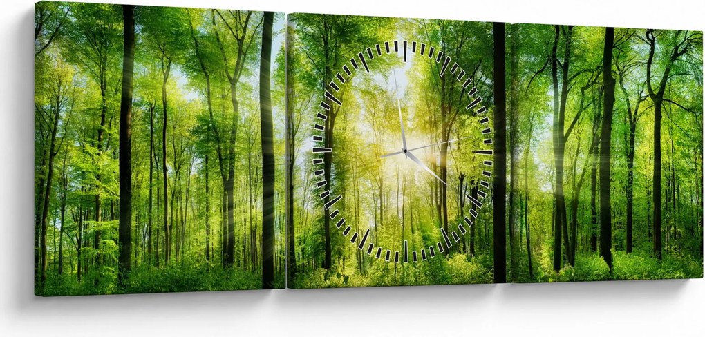 Obraz - Świt w lesie (z zegarem) (90x30 cm)