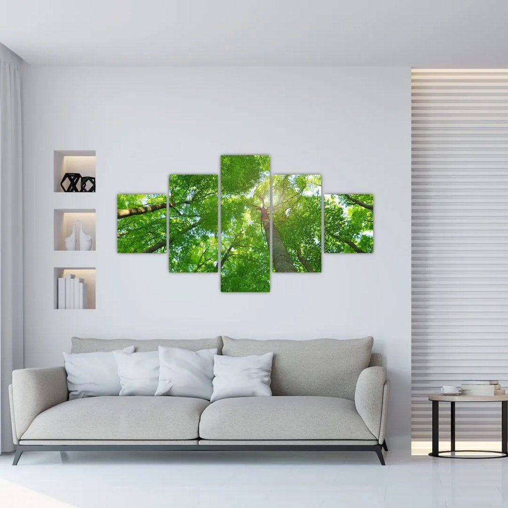 Obraz - Las (125x70 cm)