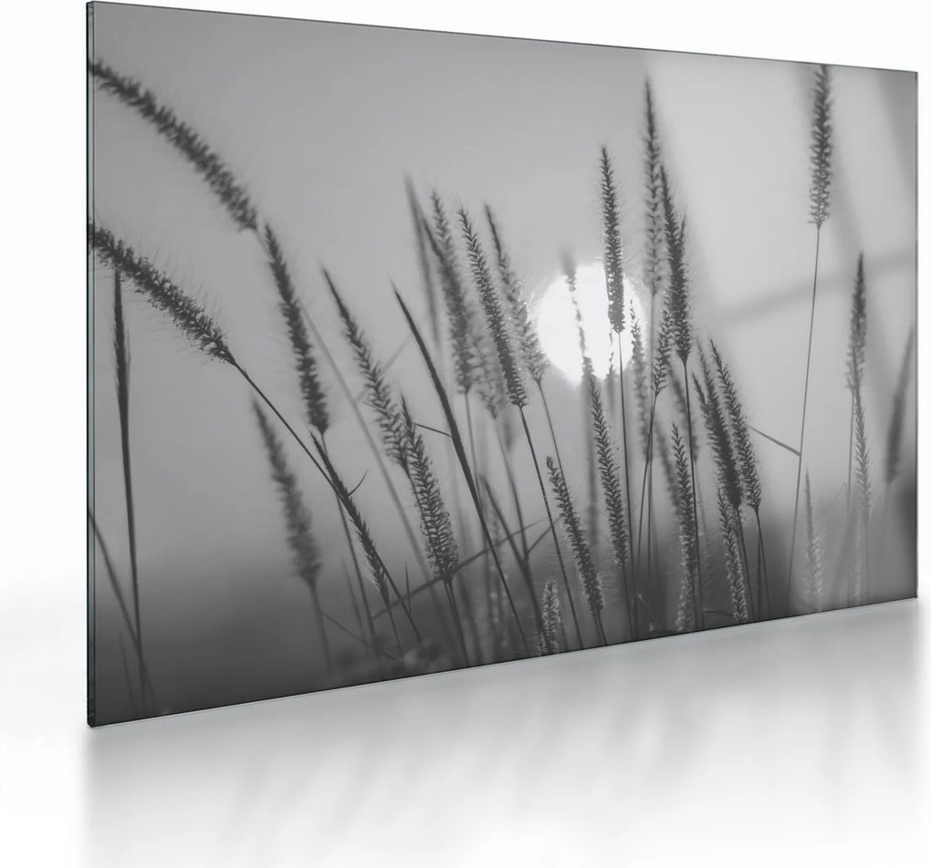 Obraz na szkle - Łąka o zachodzie słońca (70x50 cm)
