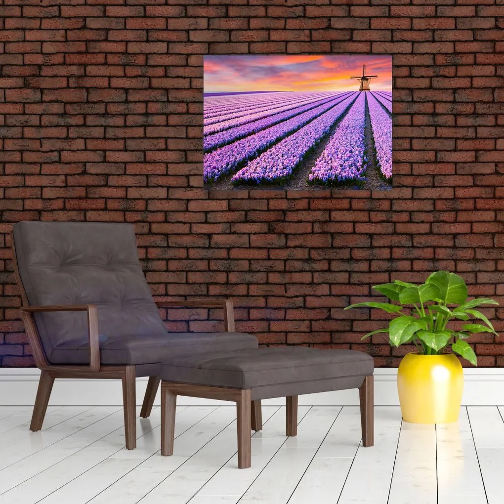 Obraz na szkle - farma kwiatów (70x50 cm)