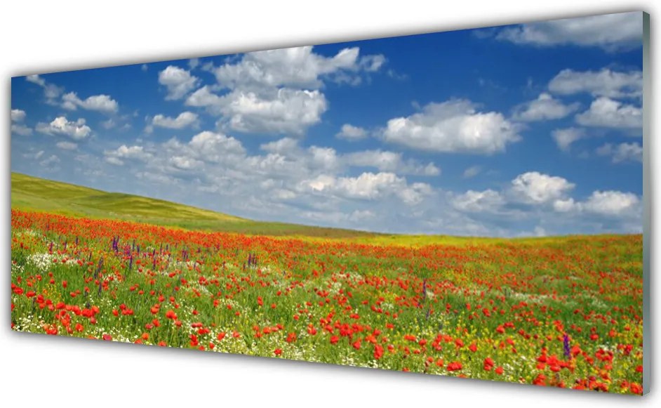 Panel Kuchenny Sielski Pejzaż Polny