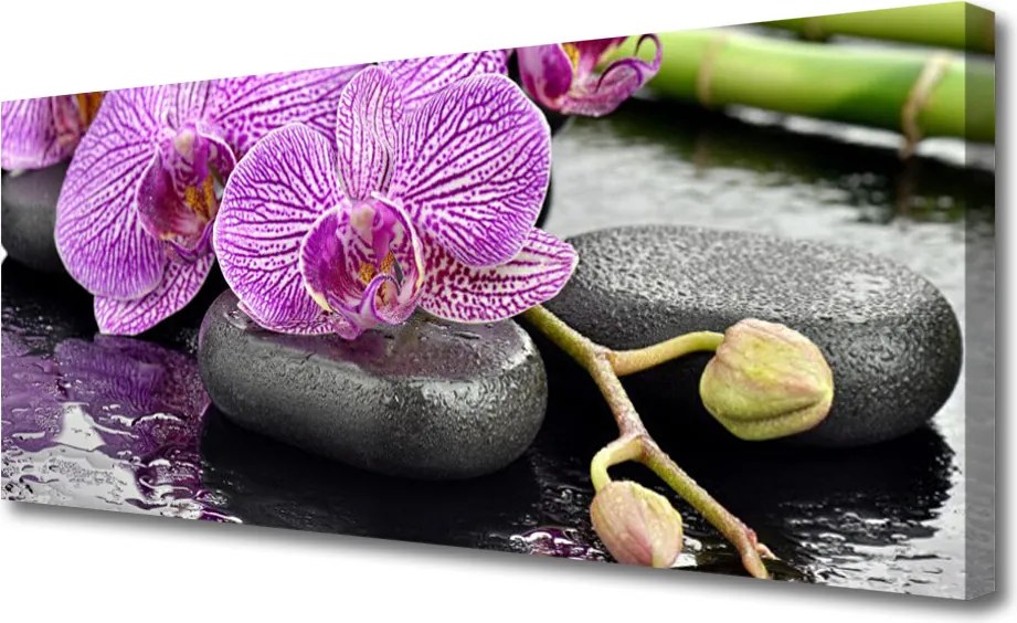 Zdjęcie na płótnie Dziki Wodospad w Sercu Lasu