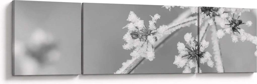 Obraz - Mrożona roślina (170x50 cm)
