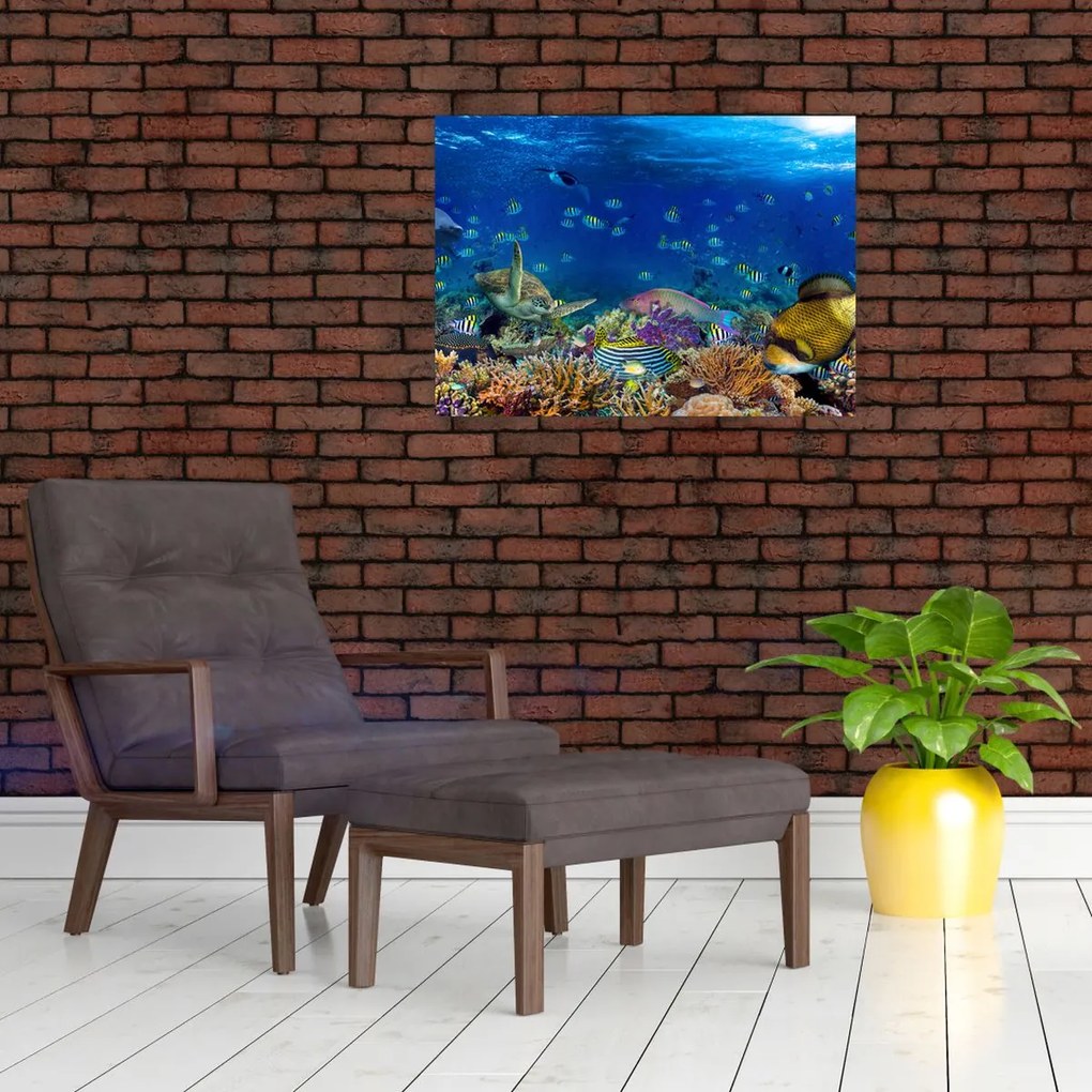 Obraz - Ocean (70x50 cm)