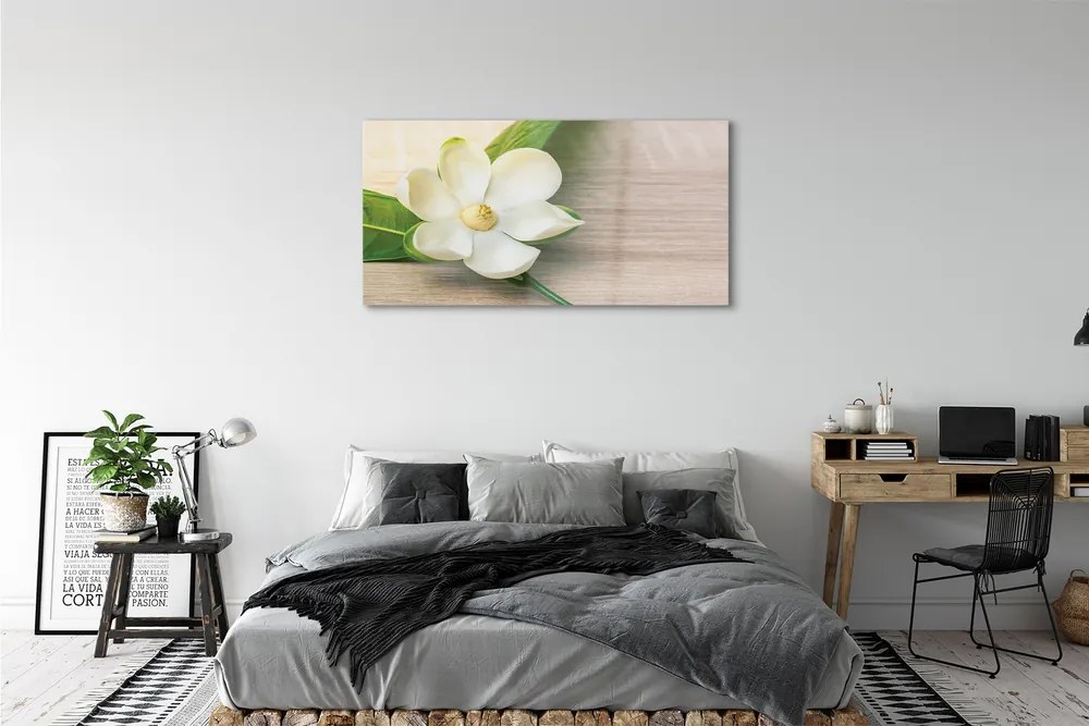 Obraz na szkle Biała magnolia