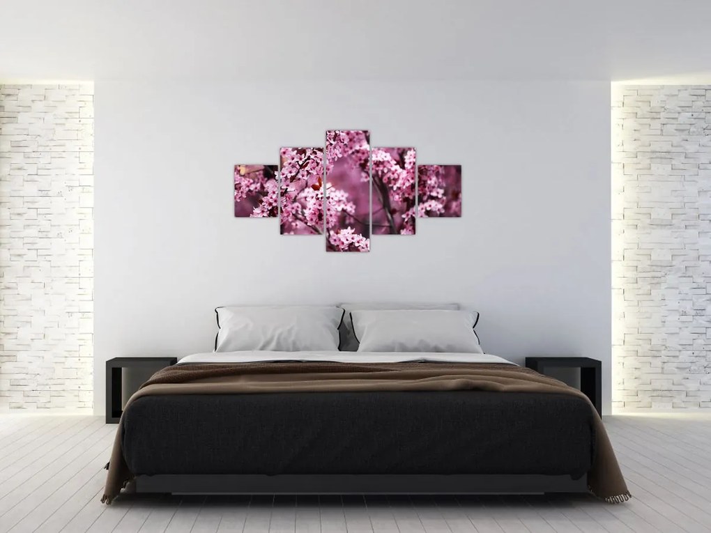 Obraz - Różowa sakura (125x70 cm)