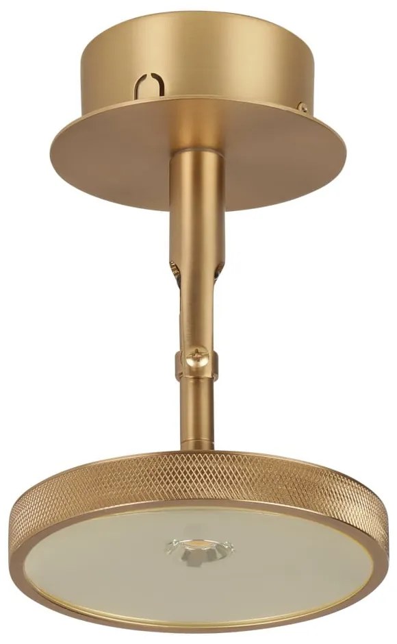 Lampa punktowa LED w kolorze złota ø 12 cm Asteria Spot – UMAGE