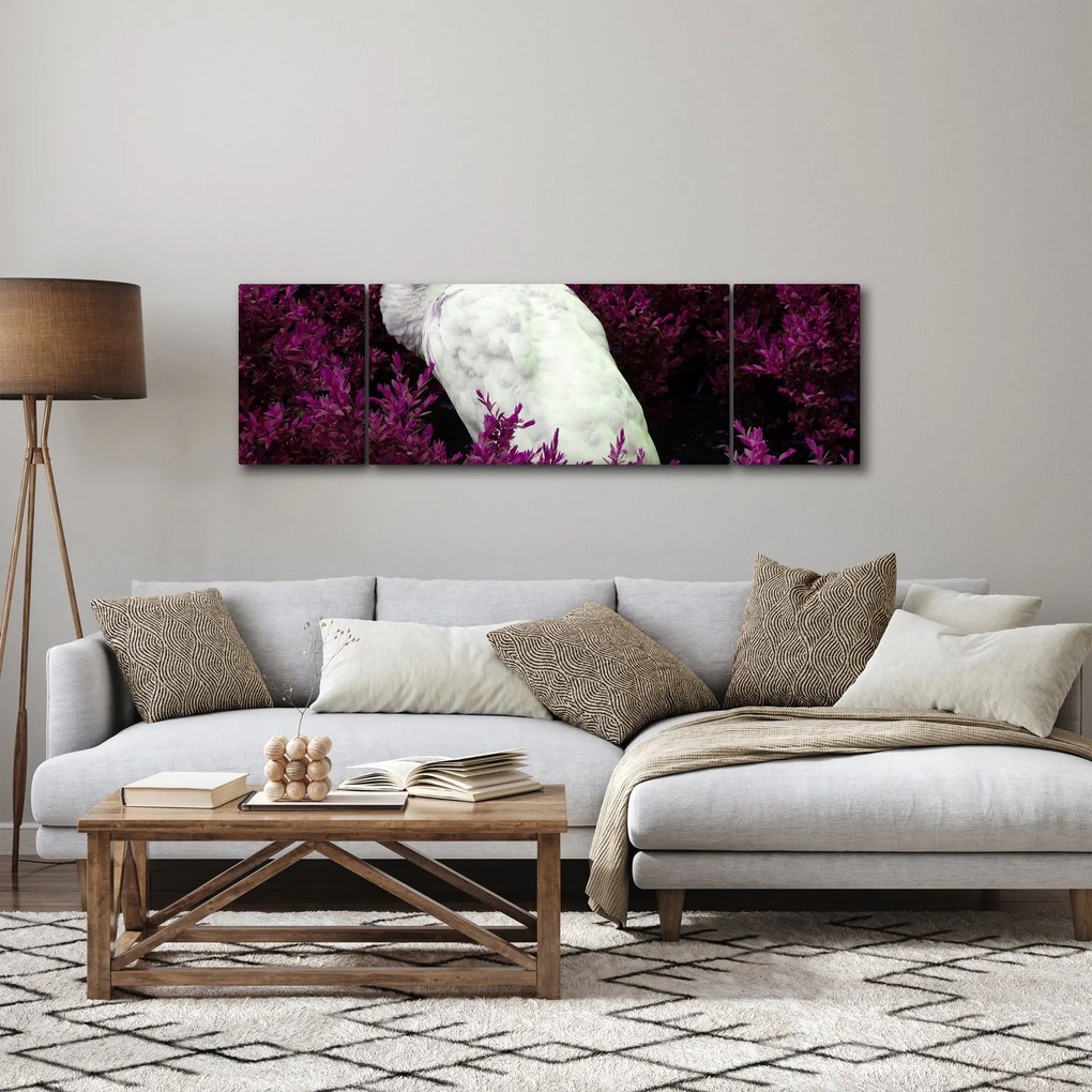 Obraz - Biały paw (170x50 cm)
