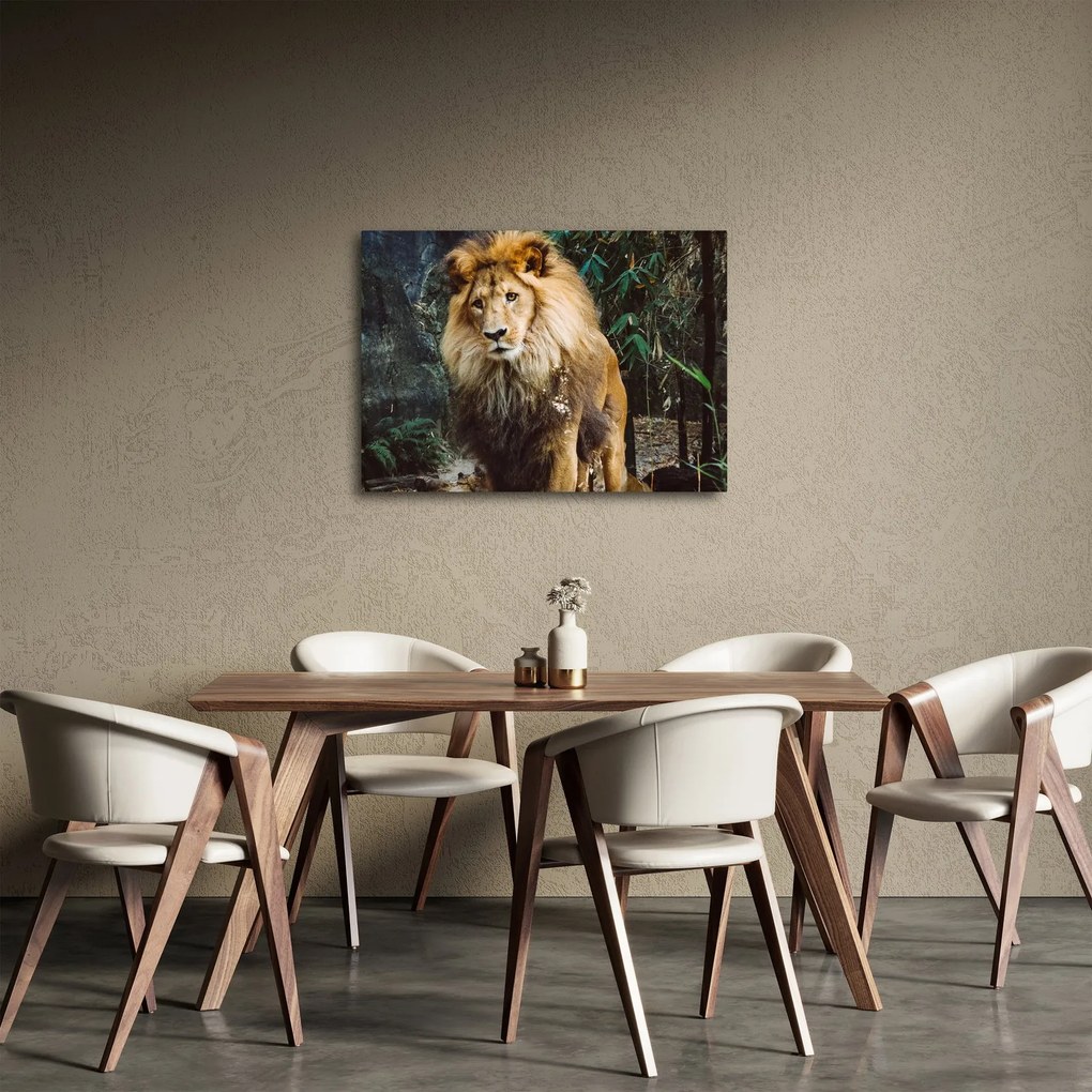 Obraz lwa w naturze (70x50 cm)